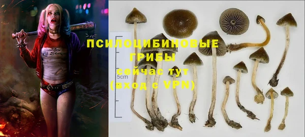 молекула духа Аркадак