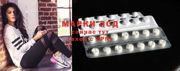 прущие грибы Арсеньев