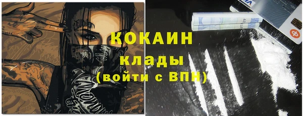 прущие грибы Арсеньев