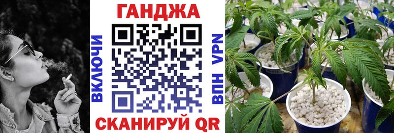 дарнет шоп  Буй  Конопля SATIVA & INDICA 